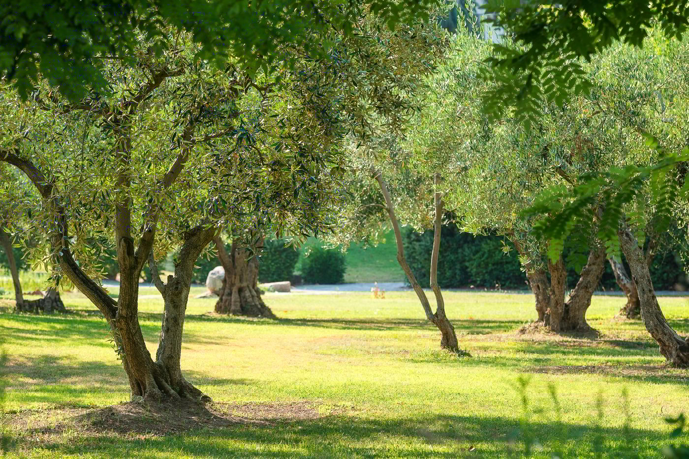 Athos-Palace-Hotel-General-view-12