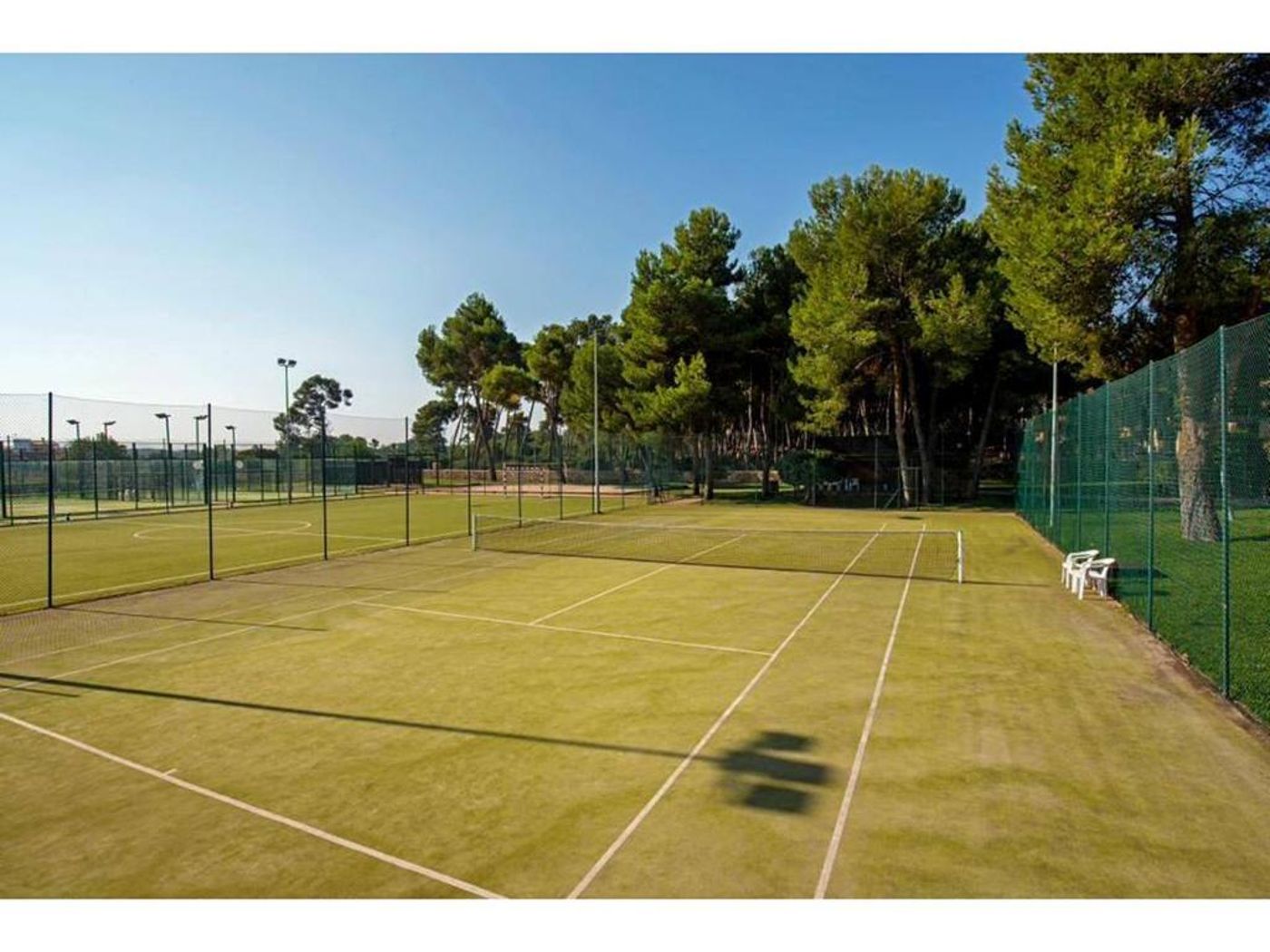 Fergus Club Vell Mari