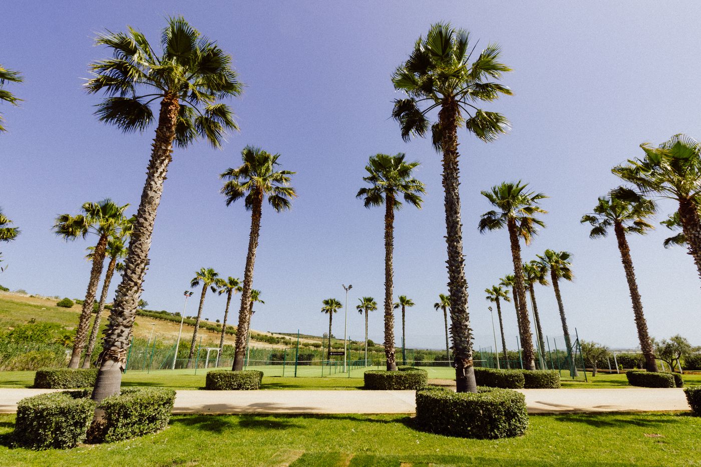 Mangias Selinunte Sicily