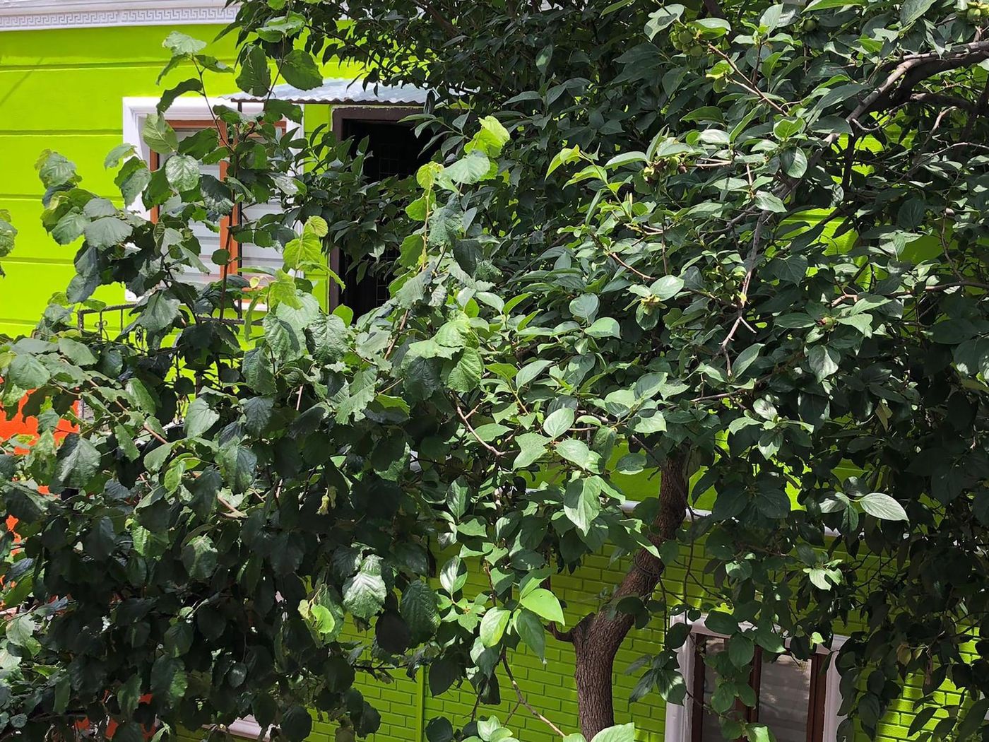 The-Zanadu-Istanbul-Room-24