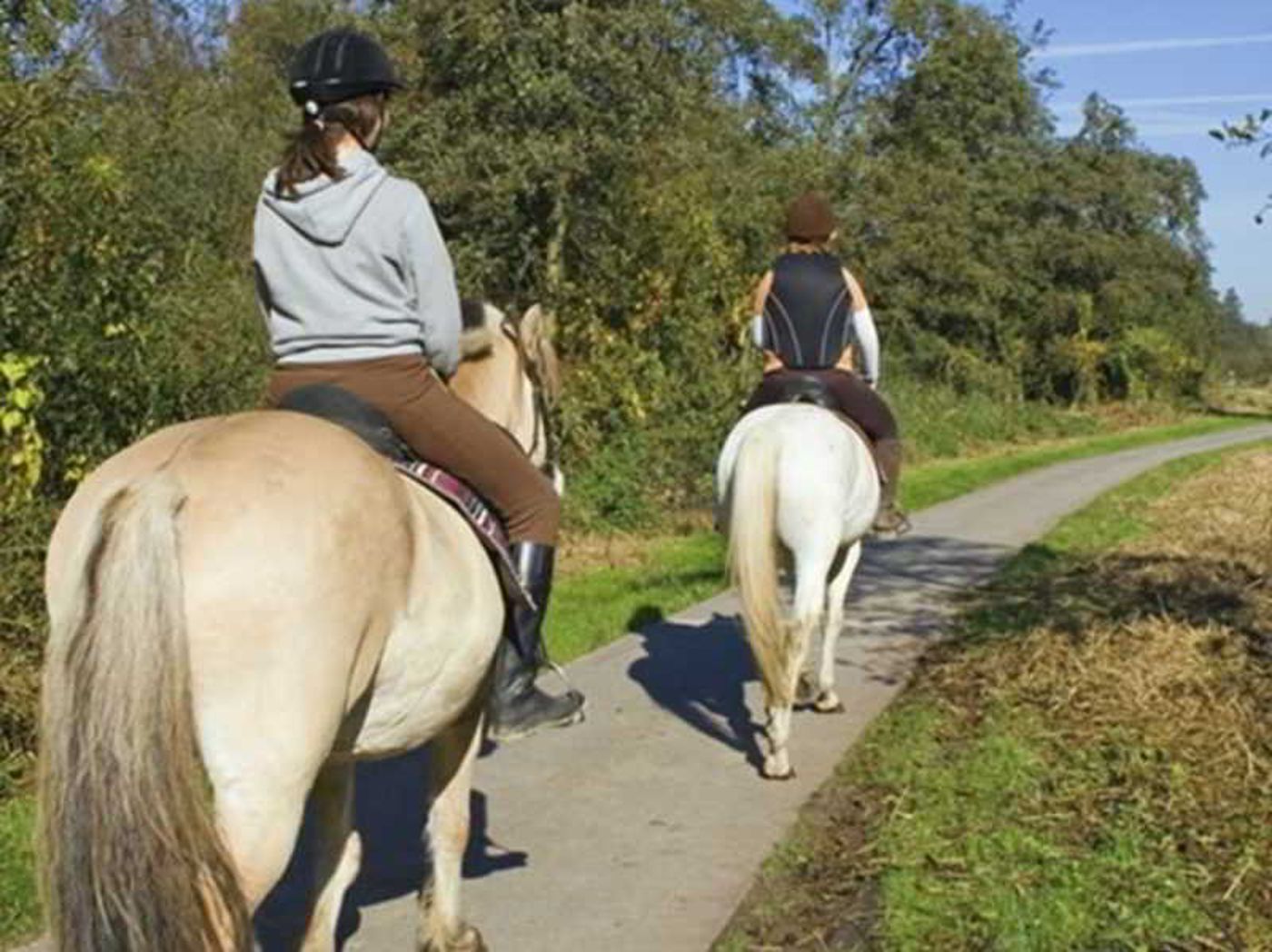 Guesia Village Hotel e Spa-Italy-FOLIGNO-General view-1