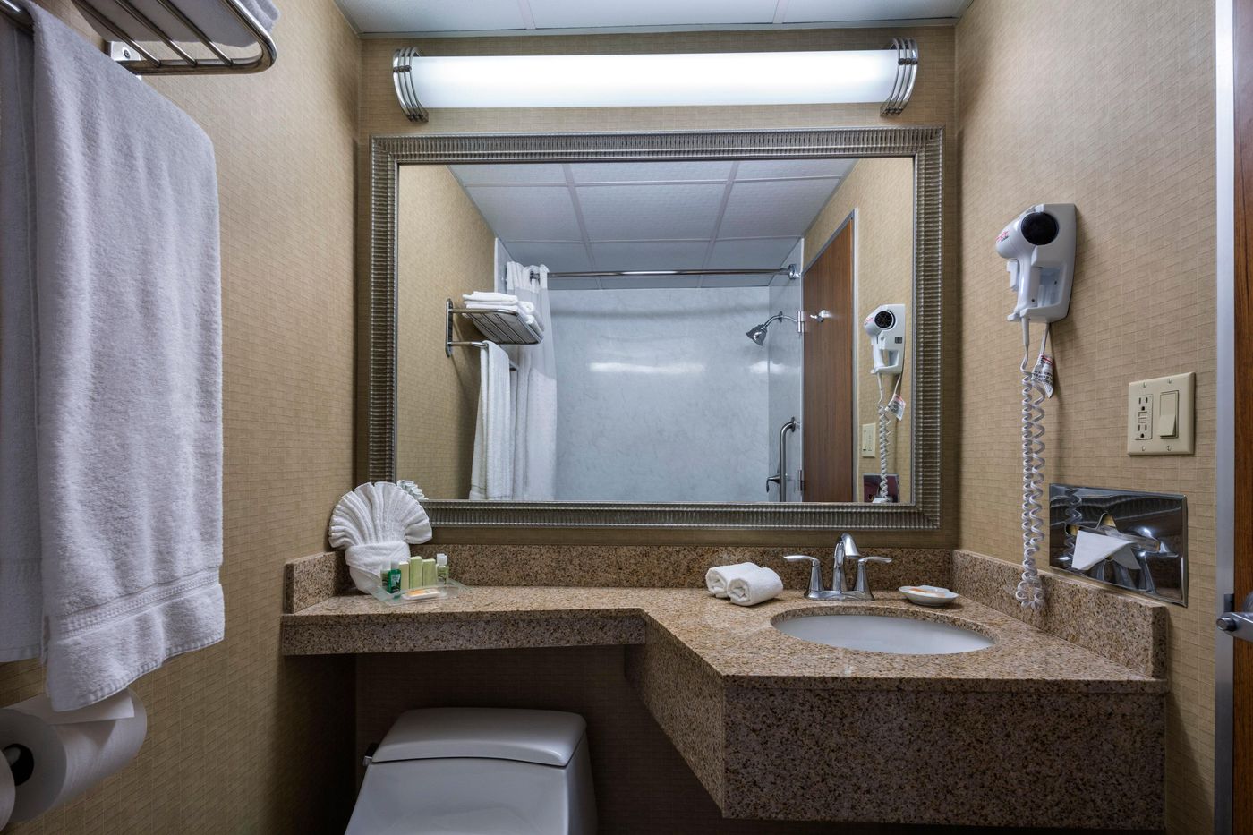 Holiday Inn Downtown Superdome - United States - NEW ORLEANS - Room - 5