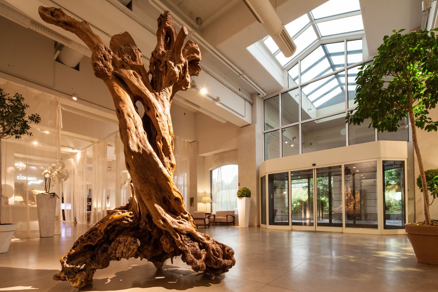 Cosmo Hotel Palace - Italy - CINISELLO BALSAMO - Lobby - 3