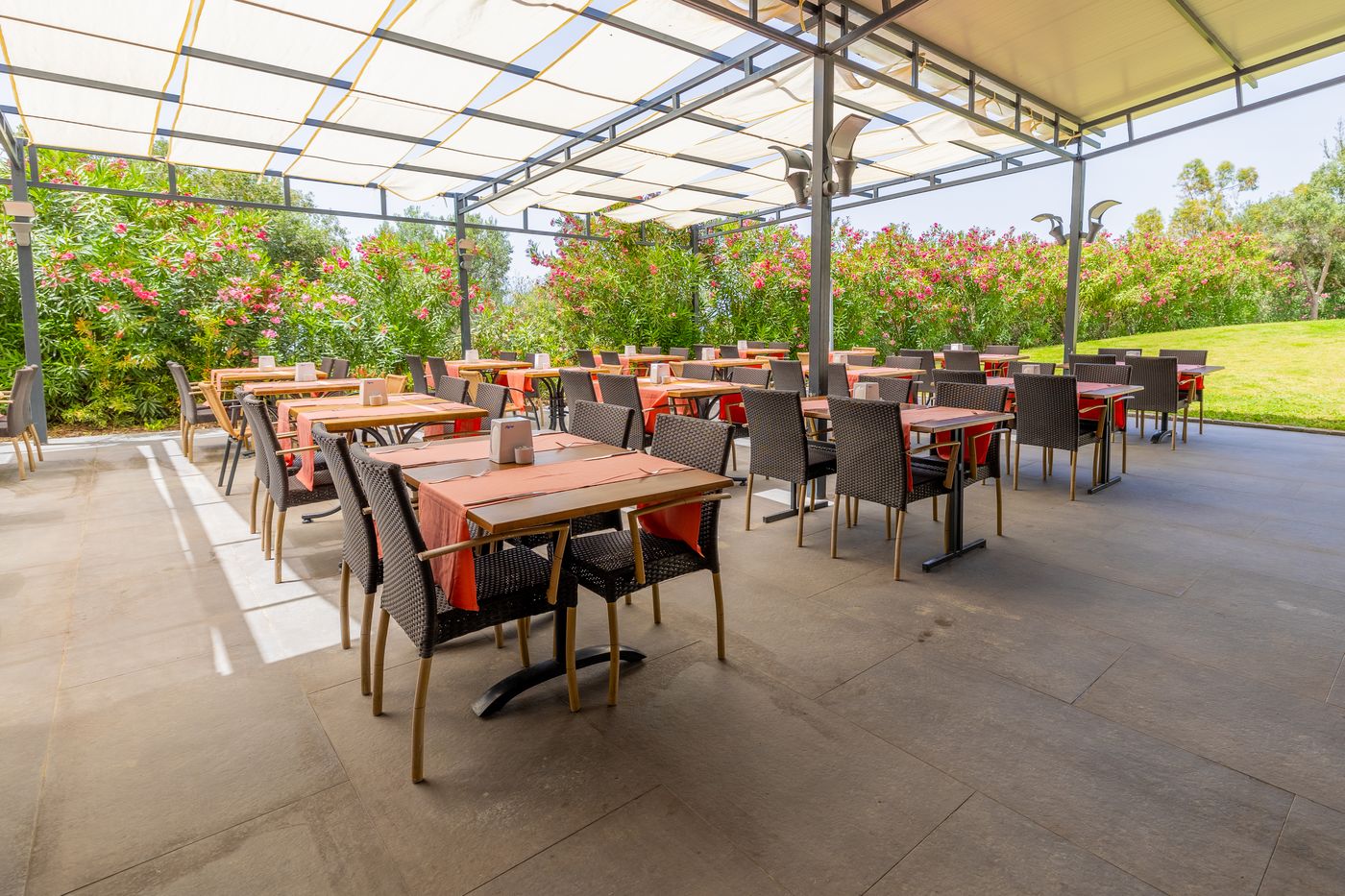 New - Sealight Family Club