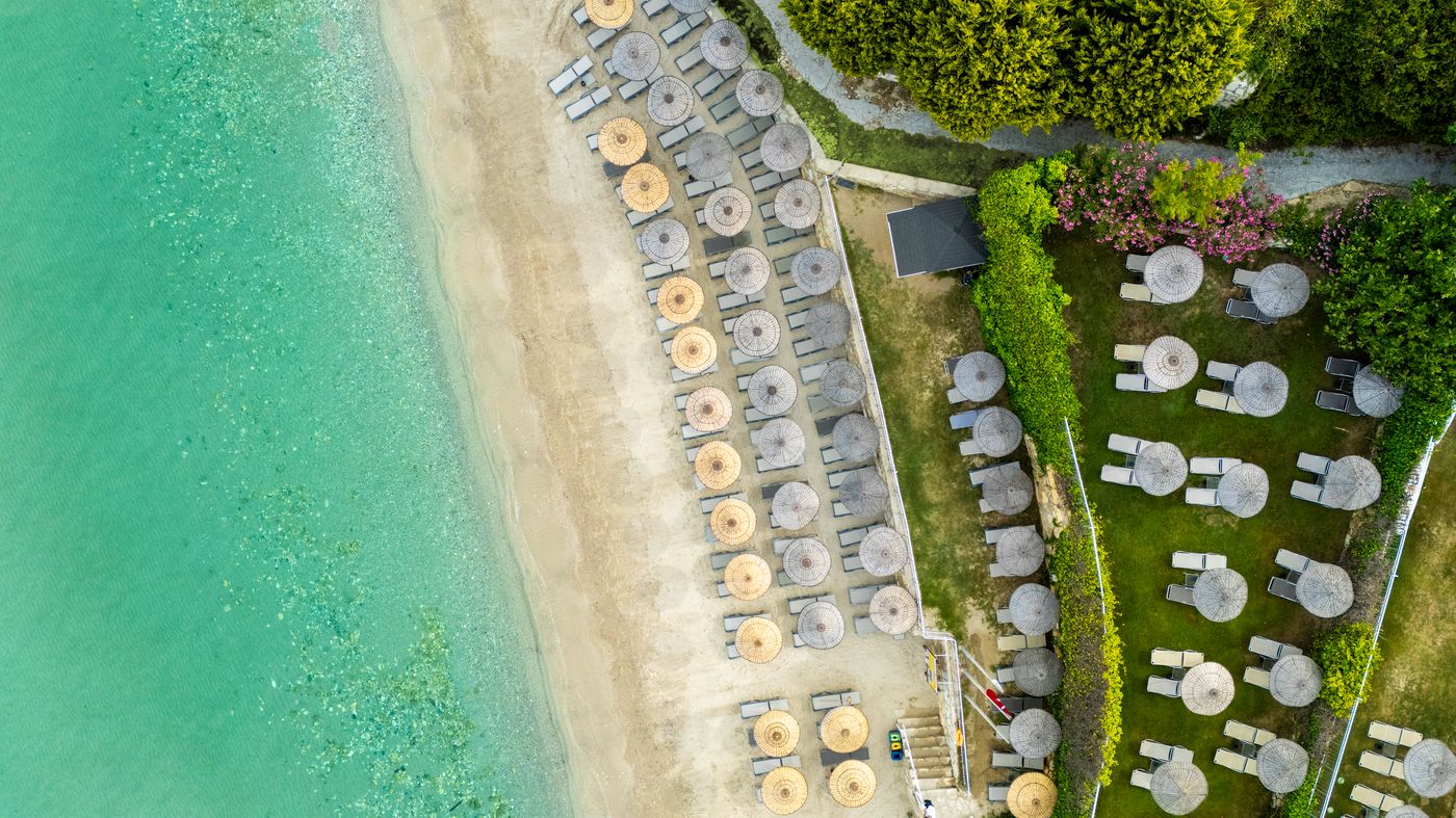 New - Sealight Family Club