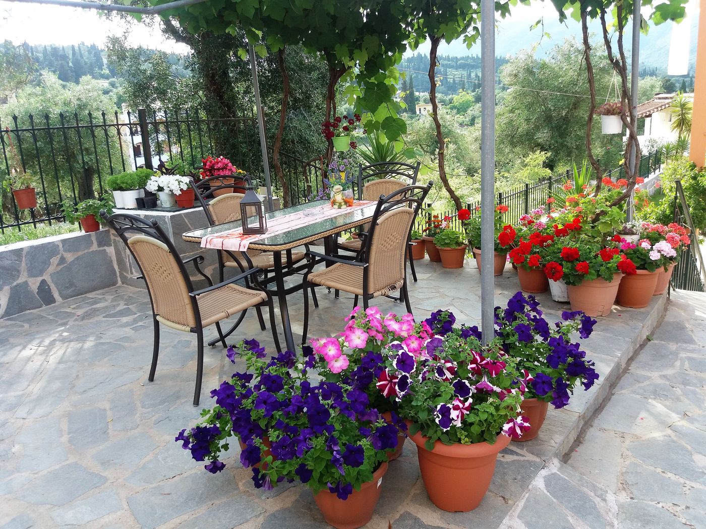 Ziogas Luxury Apartments