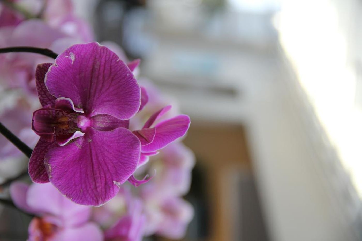 Clarion Hotel Bergen Airport Terminal-Norway-BERGEN-General view-8