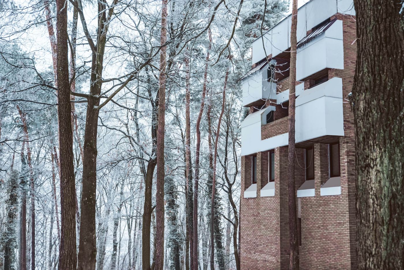 Forest-Hotel-General-view-9