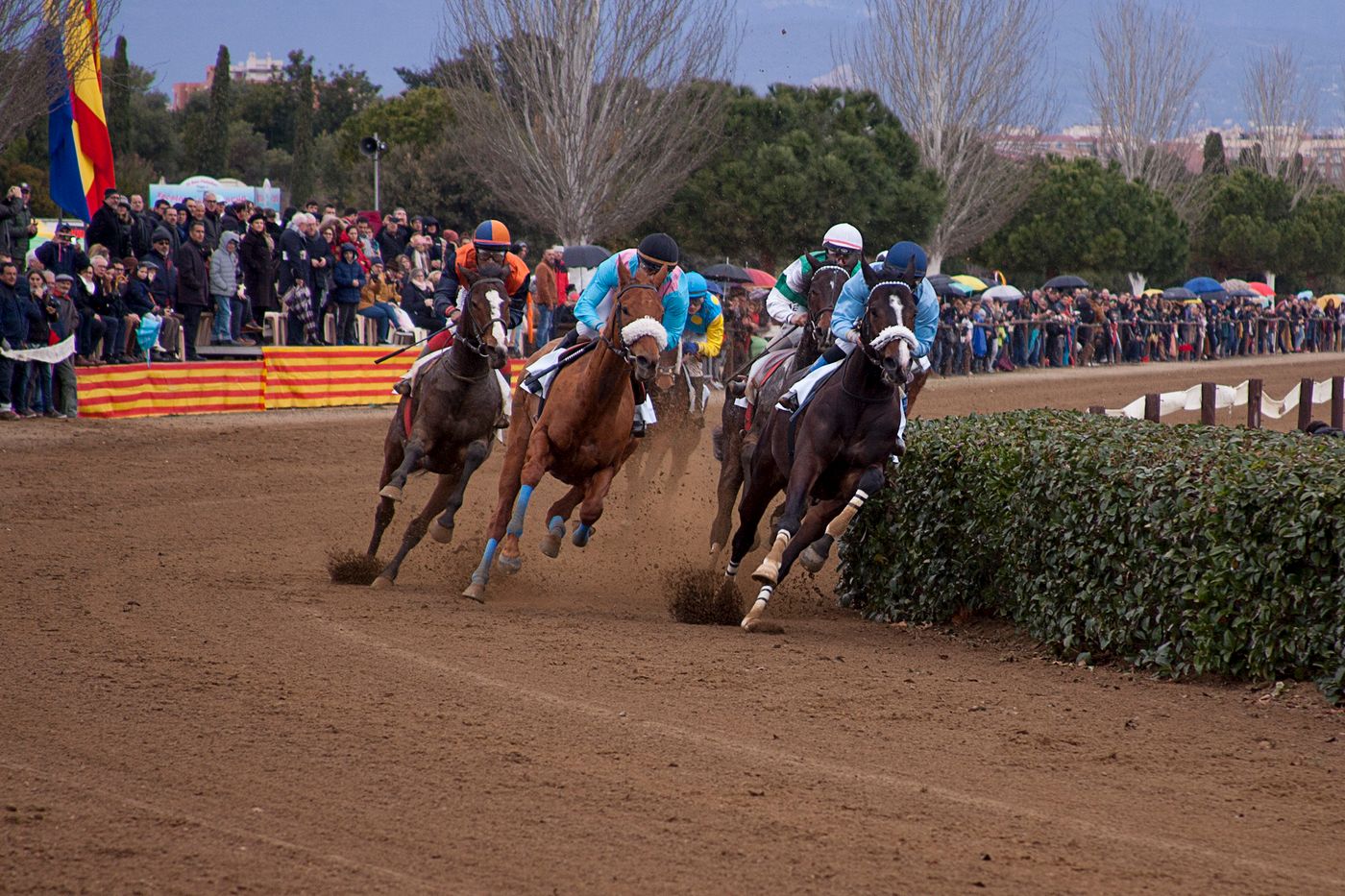 Pineda-Park-Sports-and-Entertainment-19