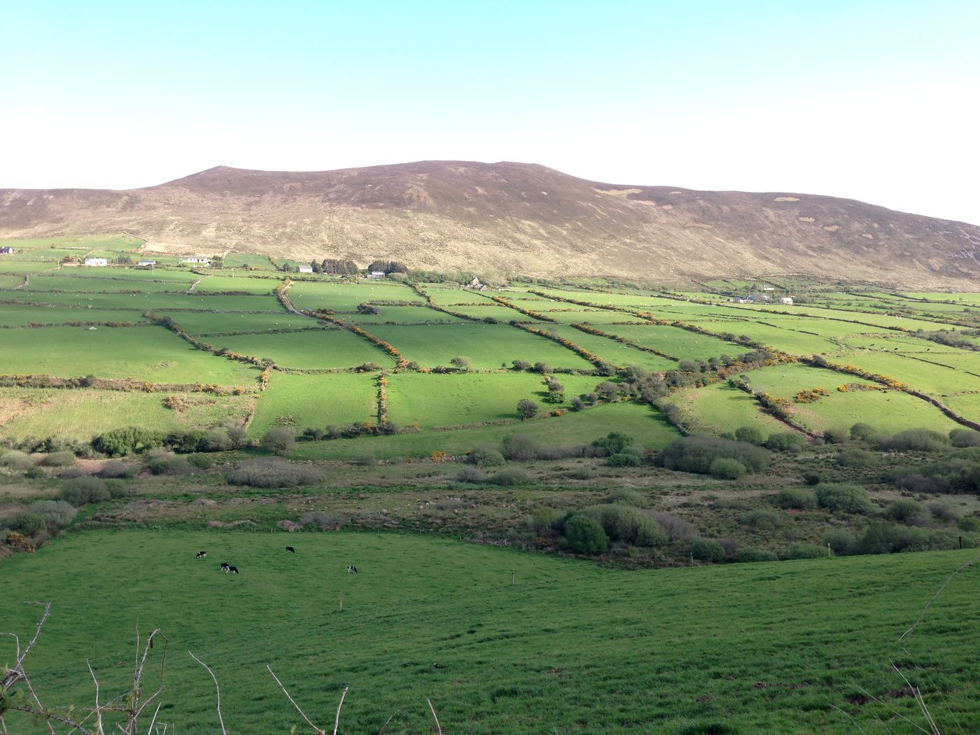 Dingle Benners Hotel-Ireland-DINGLE-General view-5