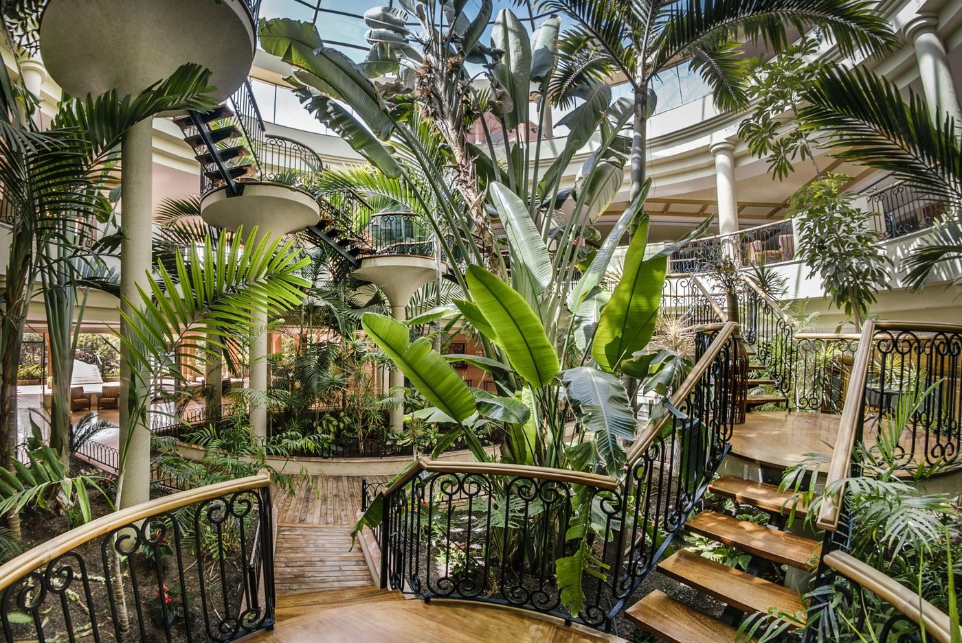 Sheraton-Fuerteventura-Beach--Golf---Spa-Resort-Lobby-47