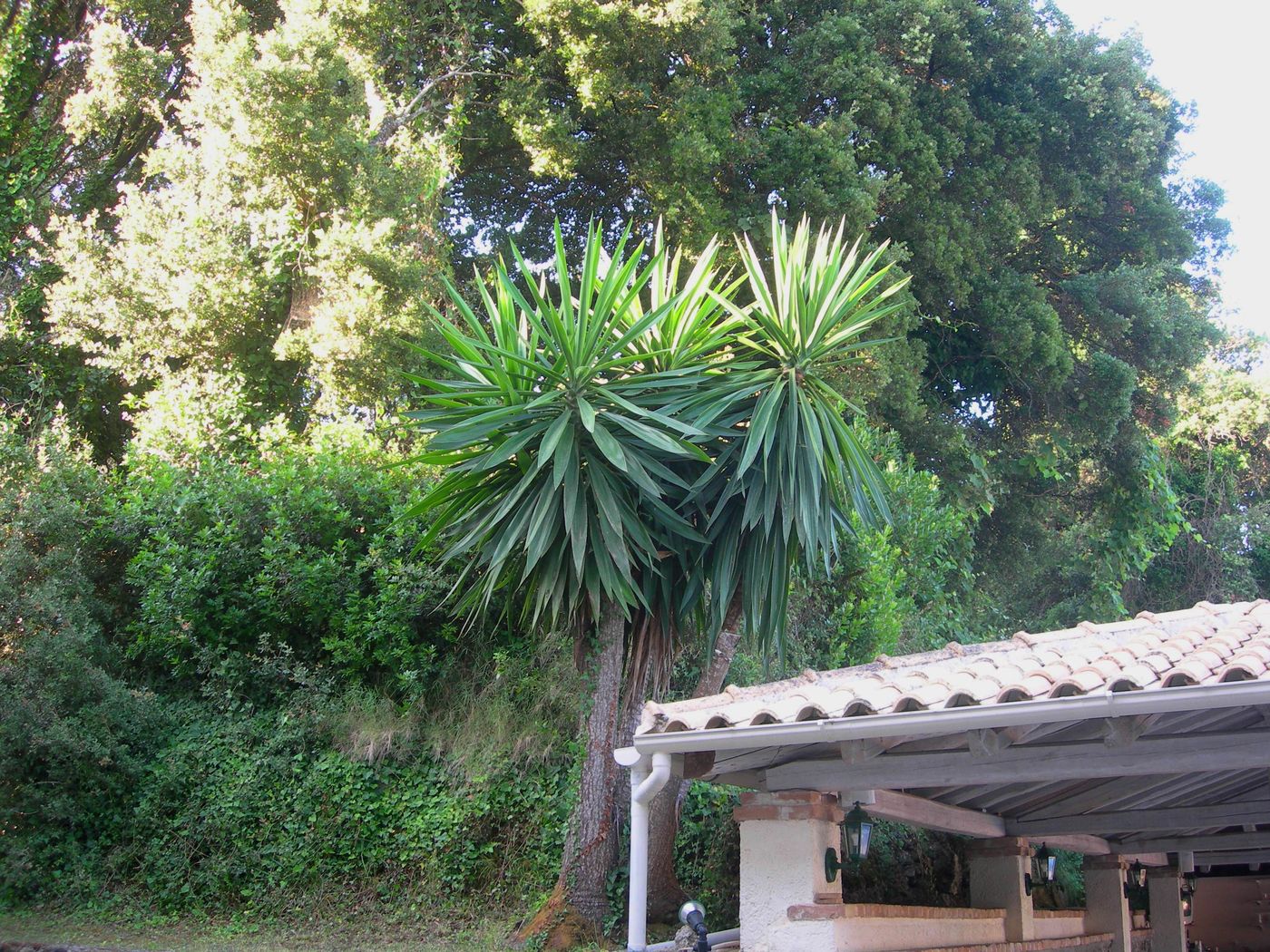 Villa-Karmar-General-view-20