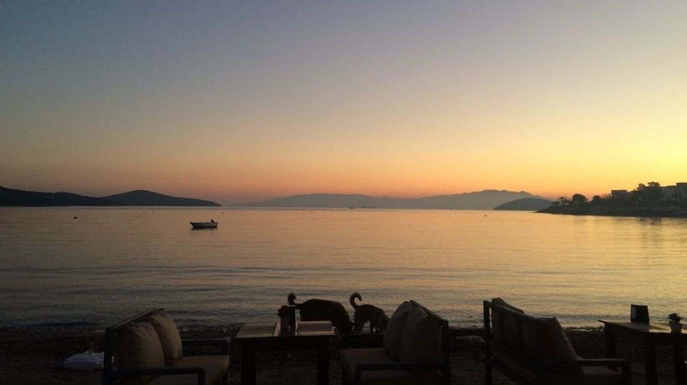 Bitez-Garden-Life-General-view-62