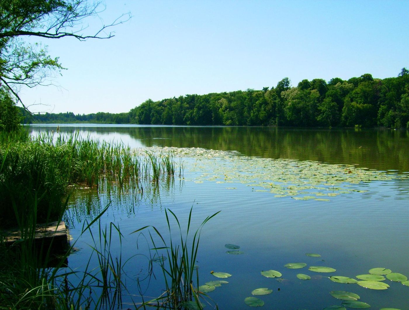 Landgut-Stober-General-view-12
