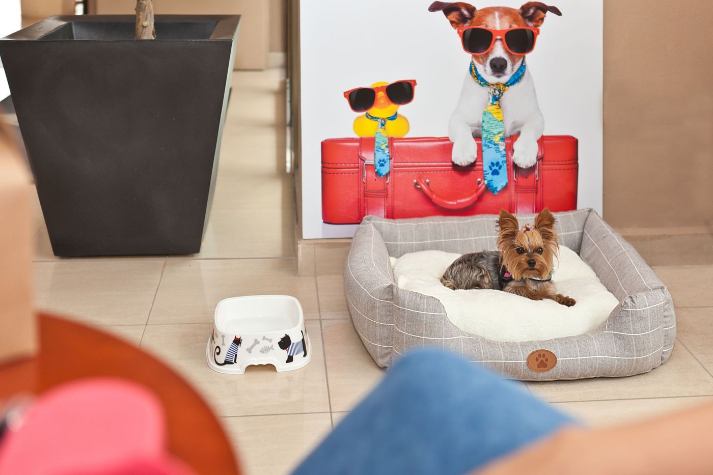 Azuline-Hotel-Mediterraneo-Sports-and-Entertainment-17