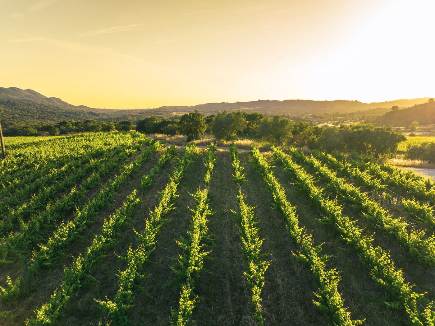 Casa-Palmela---Small-Luxury-Hotels---Villas-General-view-103