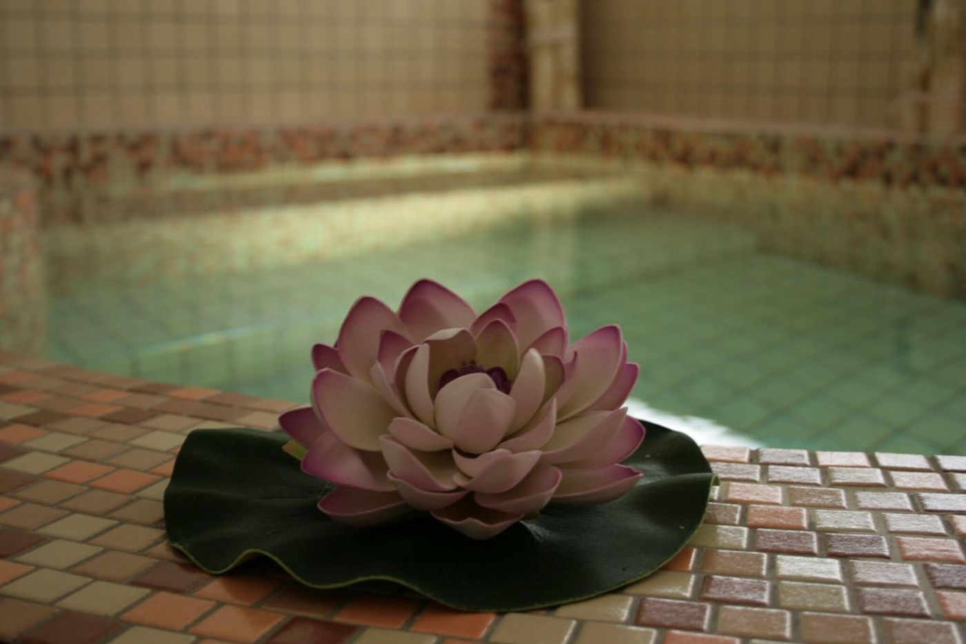 Don-Juan-Sports-and-Entertainment-10