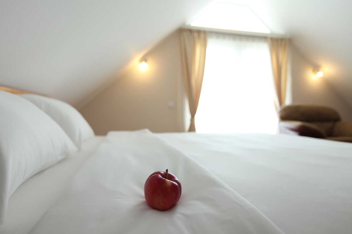 Novella Uno-Serbia-NOVI BANOVCI-General view-10