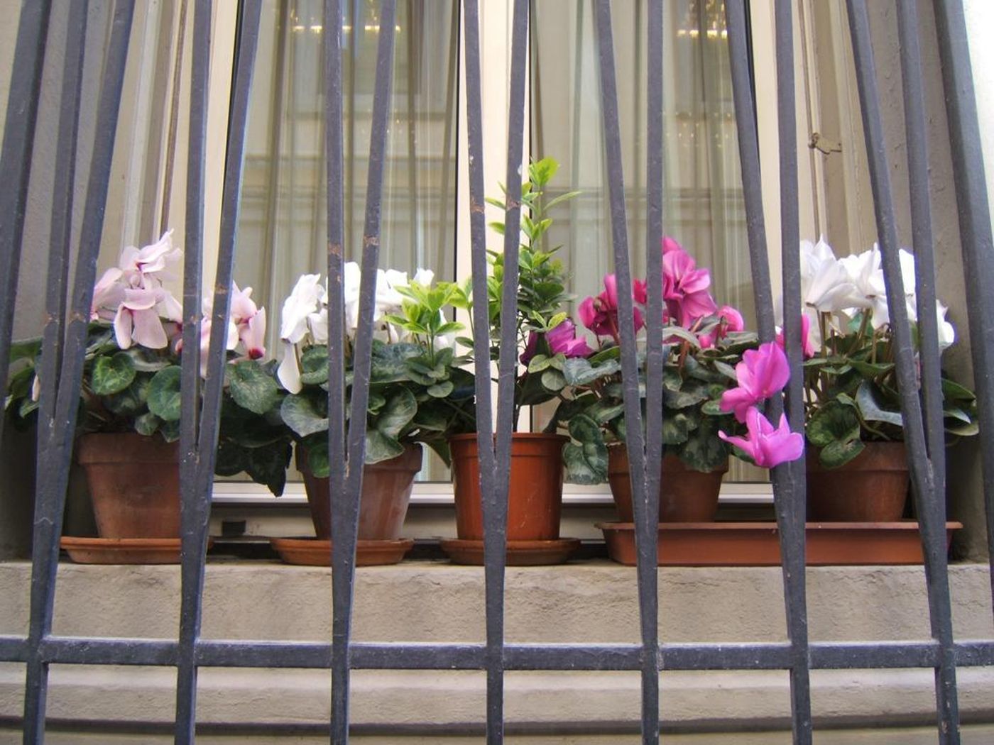 Hotel-Nuova-Italia-General-view-10