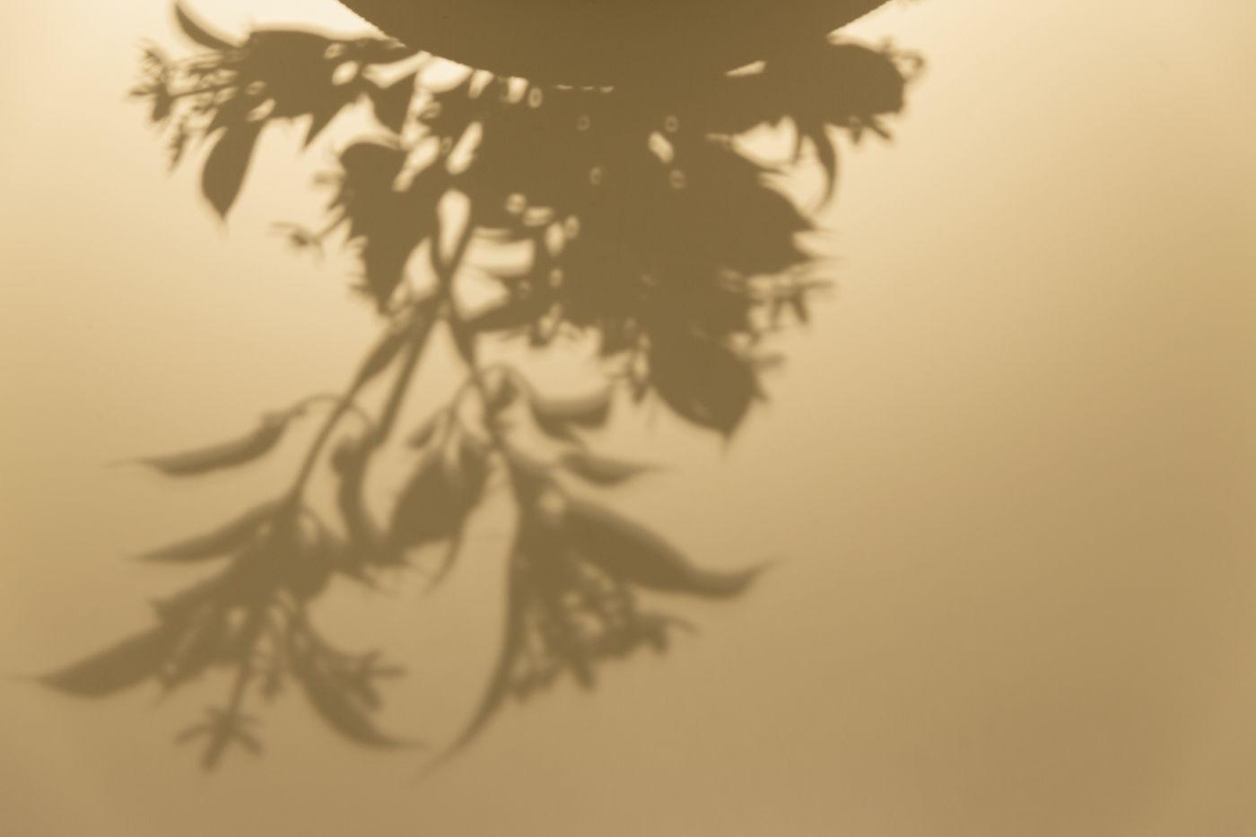 Icon Bcn-Spain-BARCELONA-General view-8