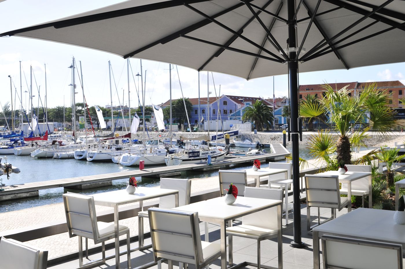 Altis-Belem-Hotel---Spa---Design-Hotels-Terrace-54