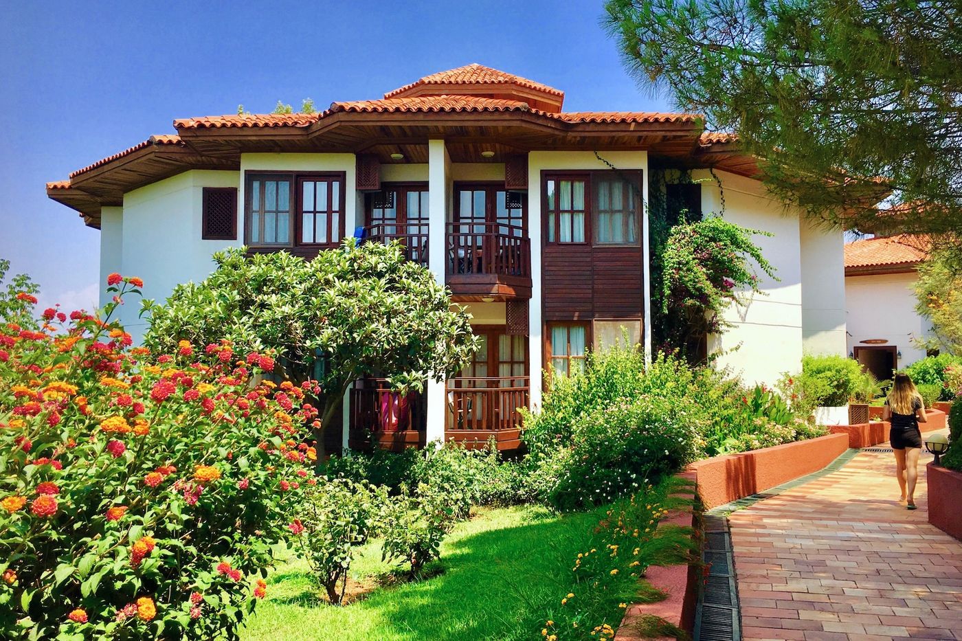 Montana-Pine-General-view-9