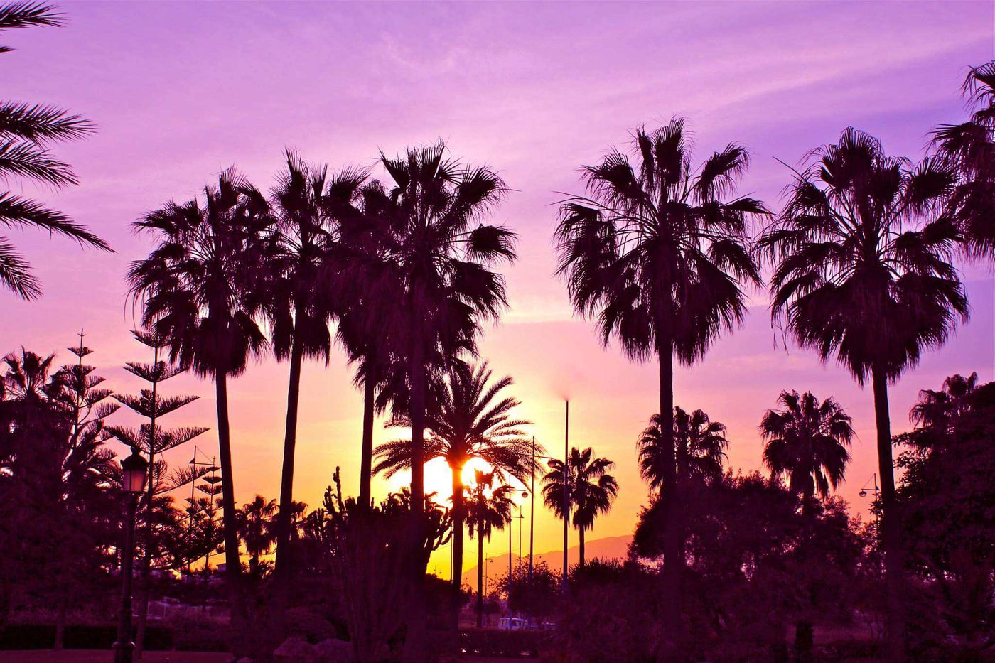 Gran-Hotel-Guadalpin-Banus-General-view-86