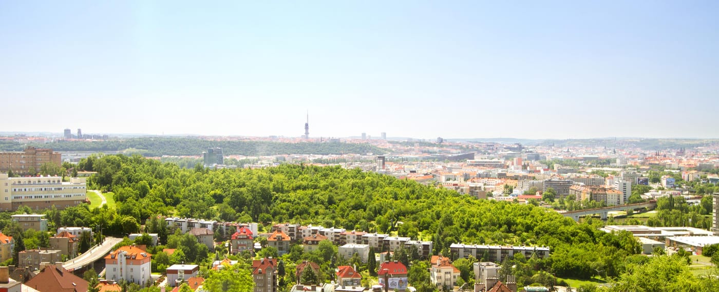 Aida-General-view-11