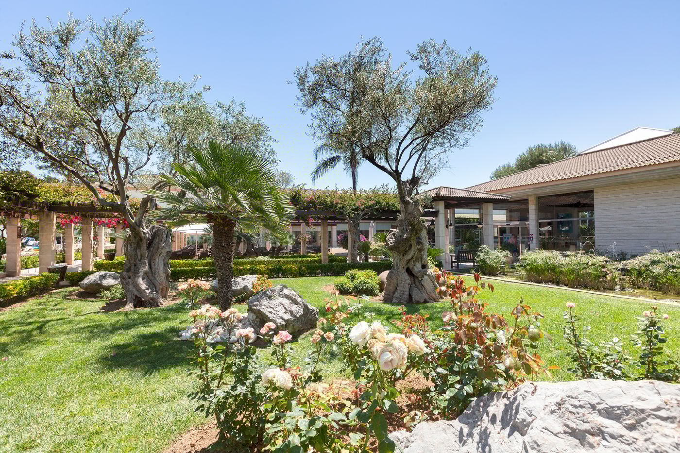 New - Mar Hotels Playa Mar & Spa