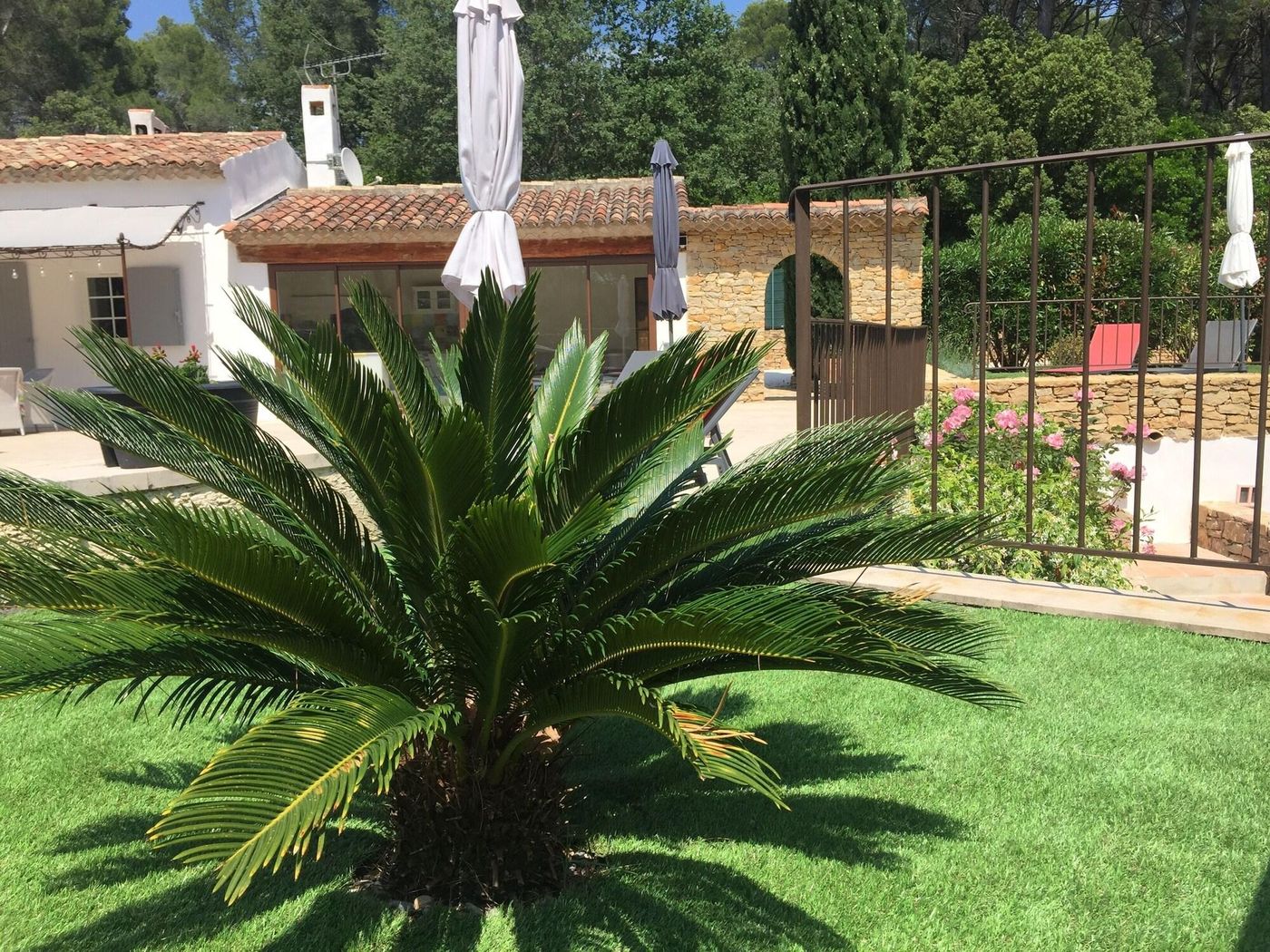 Une Pause En Provence-France-LE BEAUSSET-General view-3