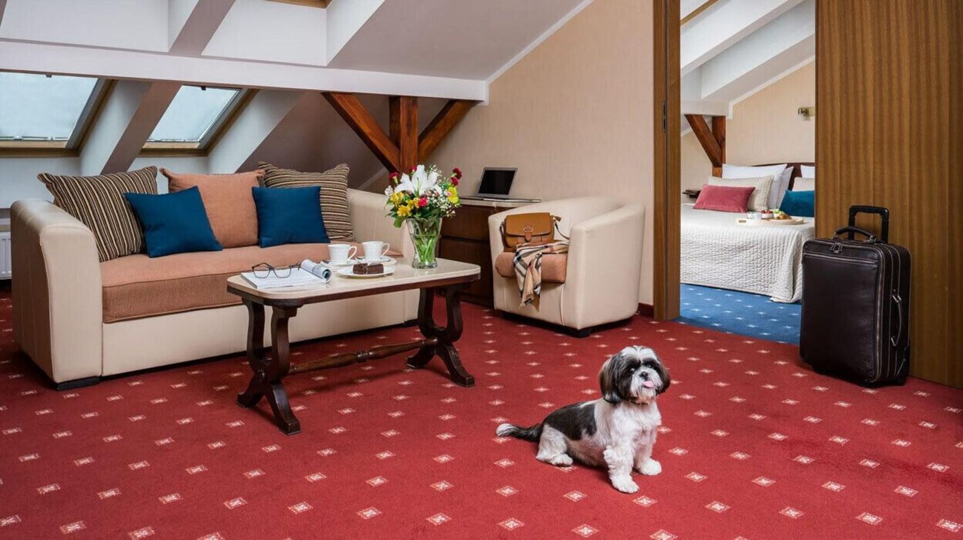 Booking-Hotel-Crown-Piast---Spa-Room-7