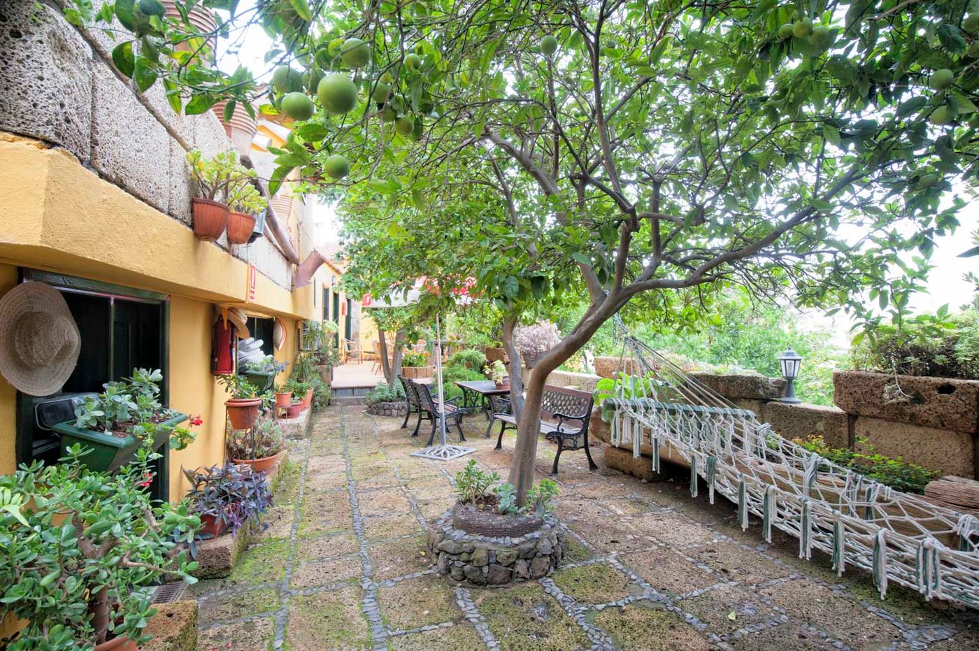 Senderos-de-Abona-Terrace-2