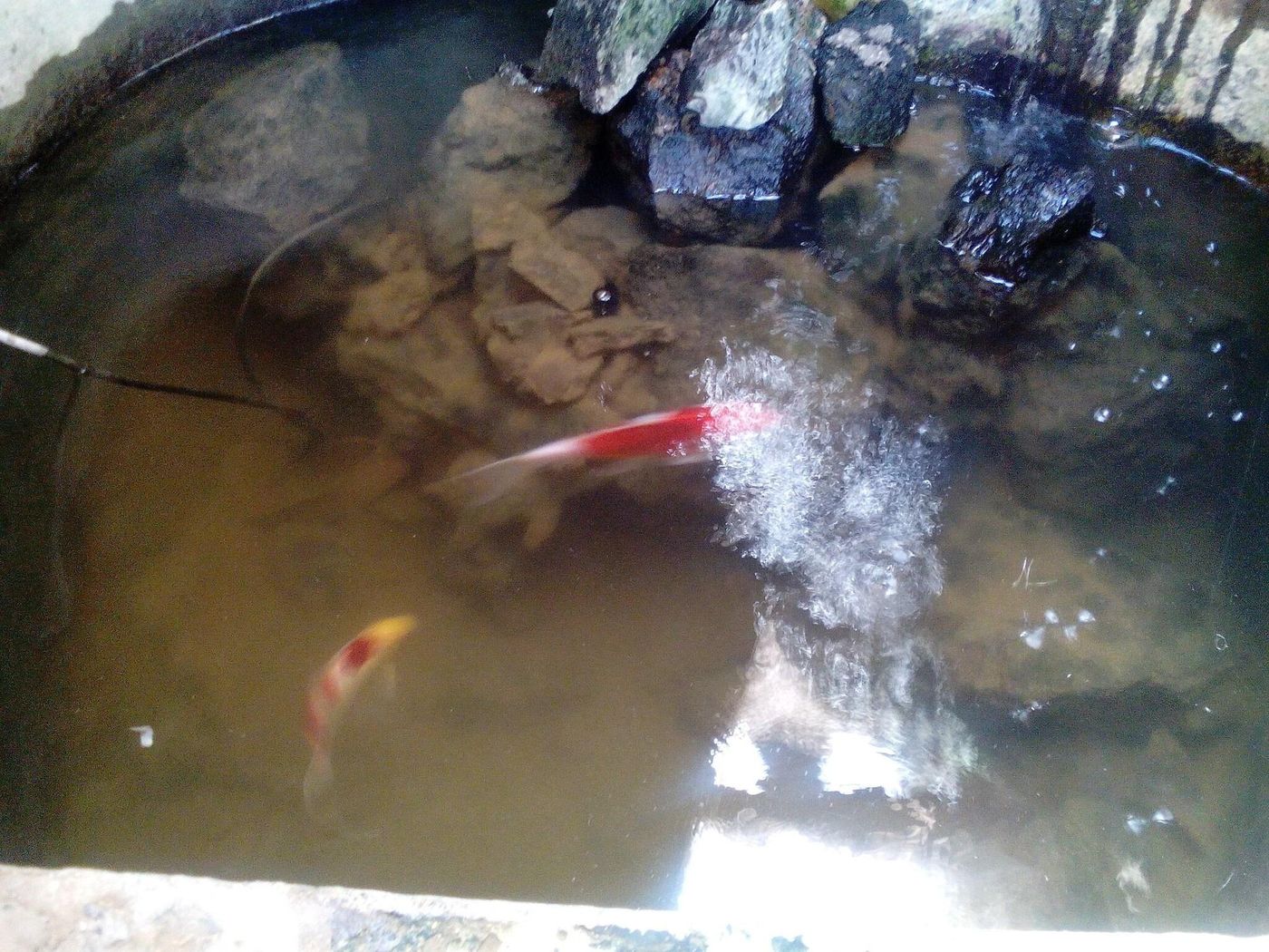 Hotel-Rural-4-Esquinas-Terrace-18