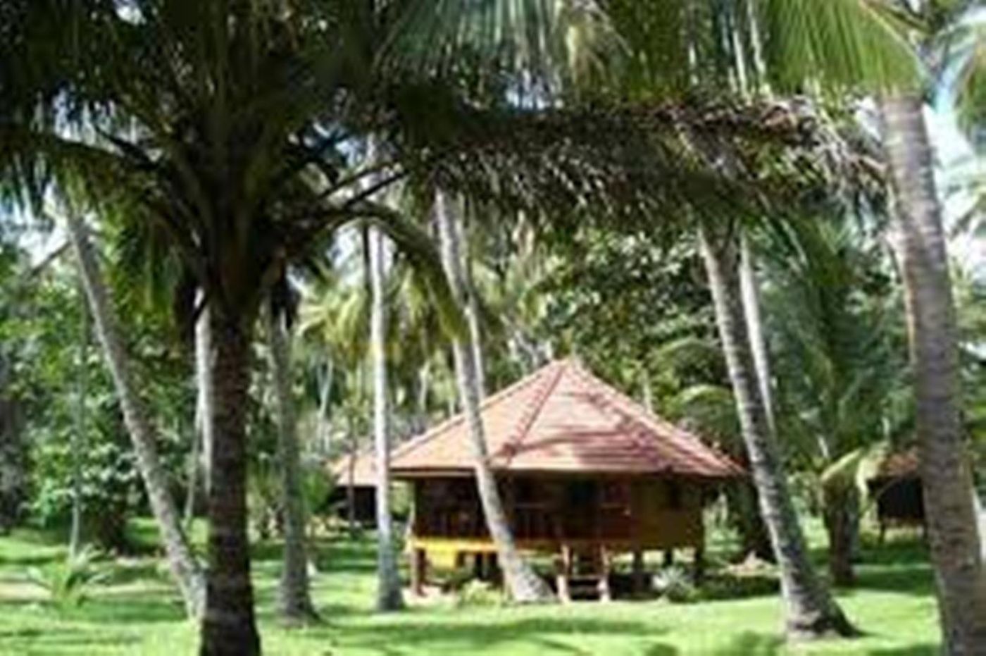 Palm Paradise Cabanas & Villas-Sri Lanka-TANGALLE-Room-6