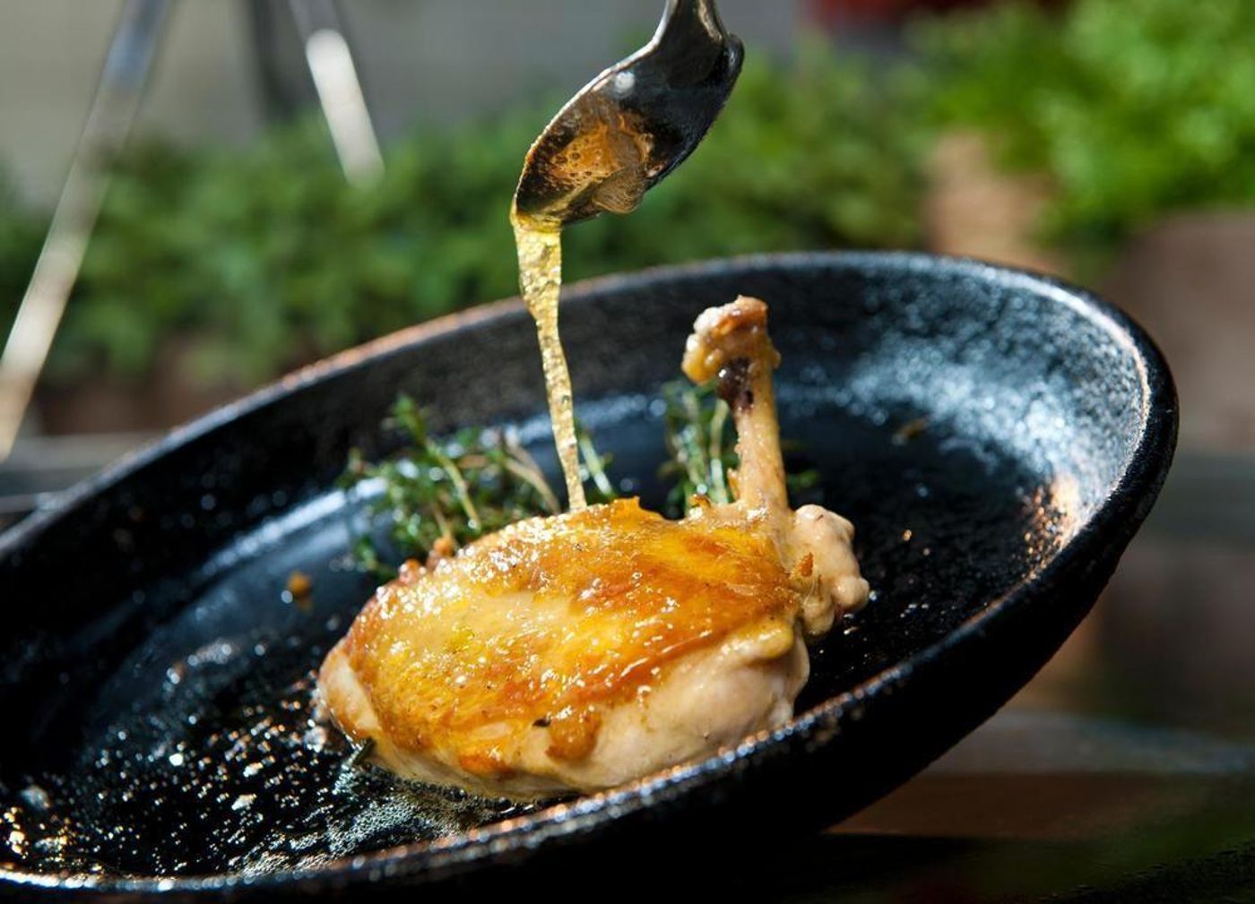 Dorint-Hotel-Sanssouci-Potsdam-General-view-25