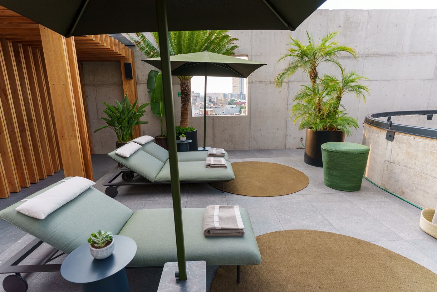 Hotel Volga-Mexico-Ciudad de México-General view-3