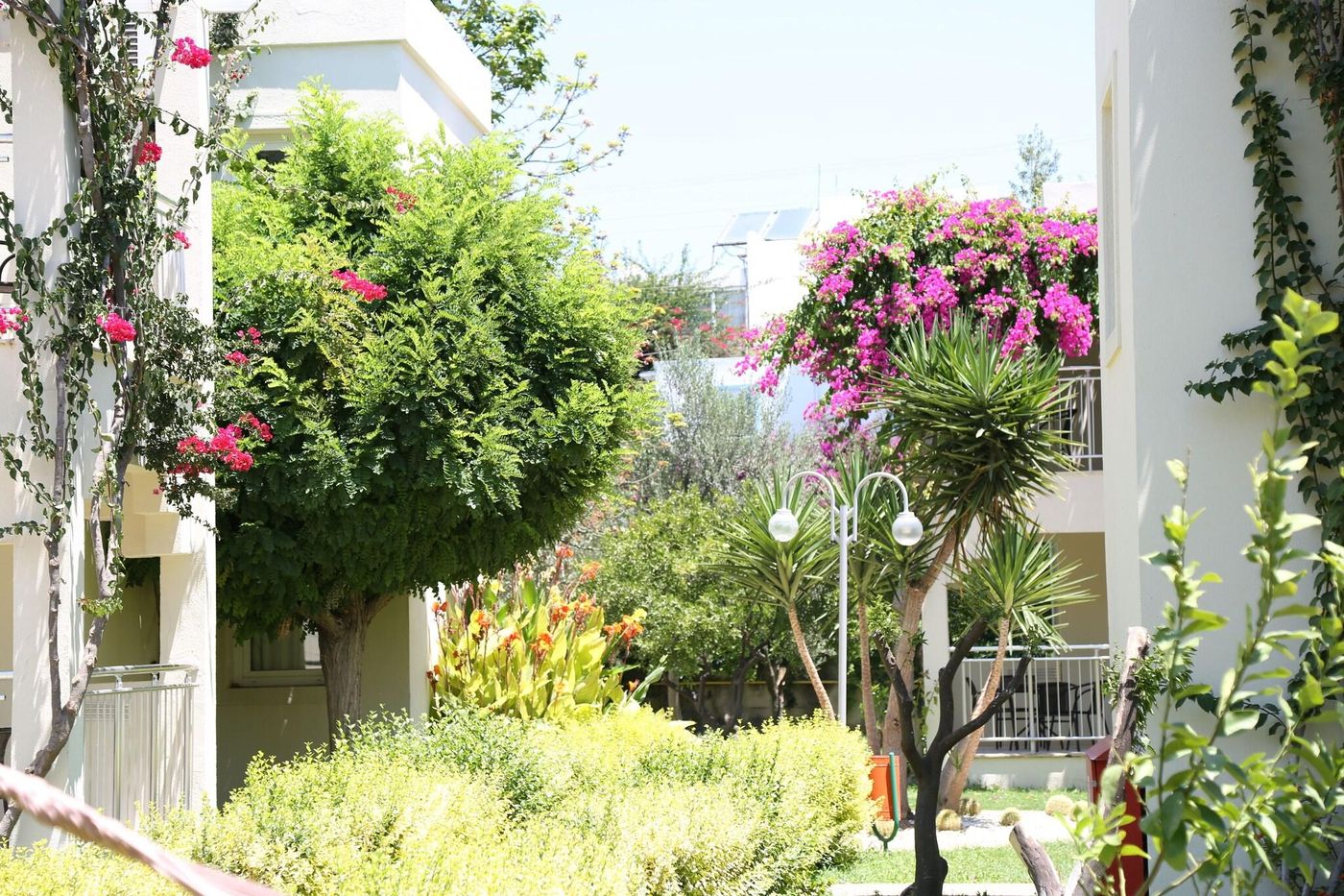 Mandarin-Resort-Bodrum-Terrace-20