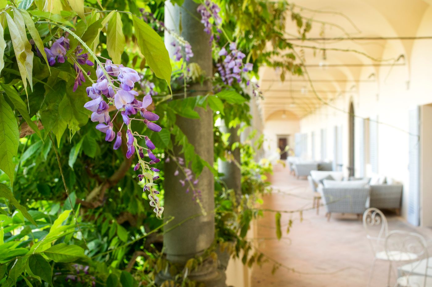 La-Certosa-di-Pontignano-Terrace-5