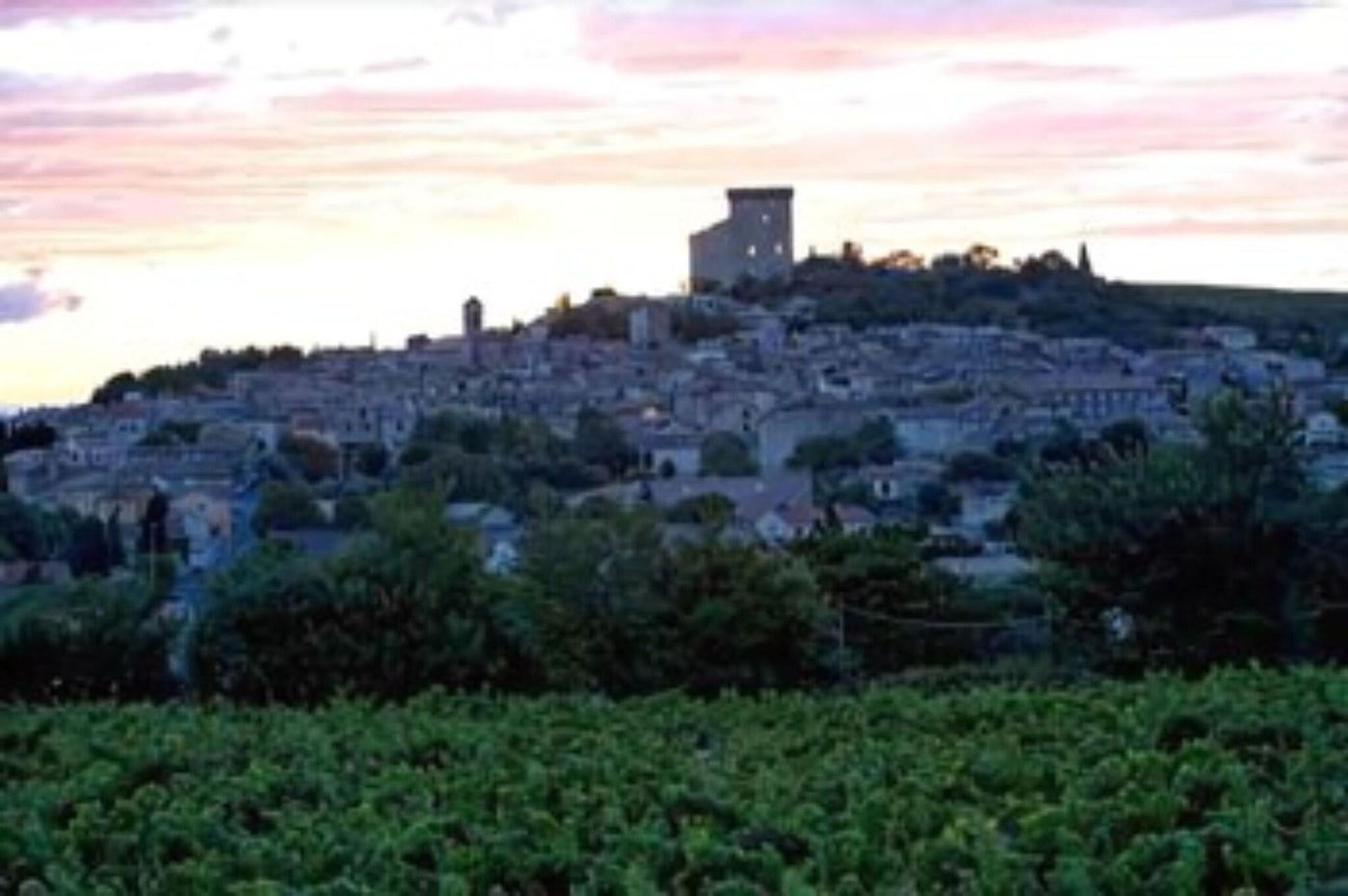 Hostellerie Du Chateau Des Fines Roches-France-CHÂTEAUNEUF-DU-PAPE-General view-6