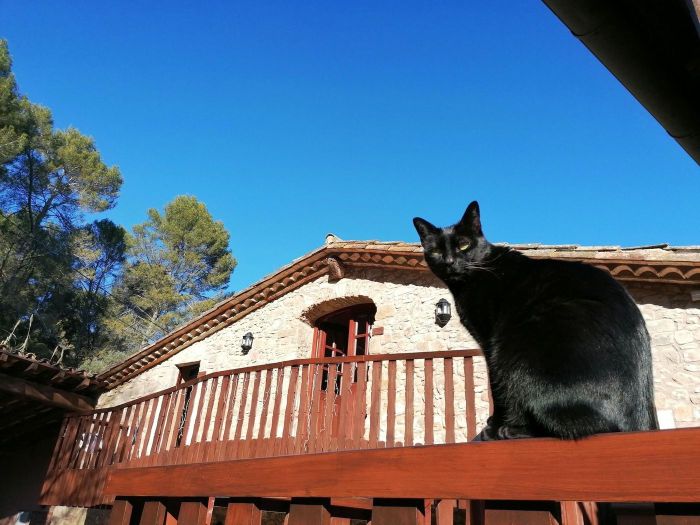 La-Sala-De-Camos-Room-16