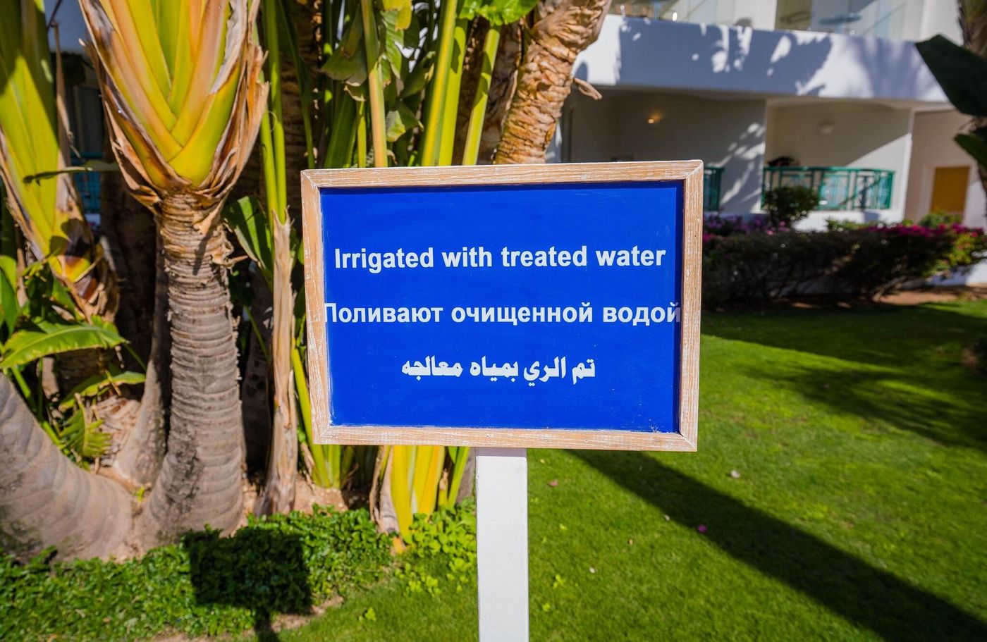 Novotel-Sharm-El-Sheikh-Beach-General-view-30