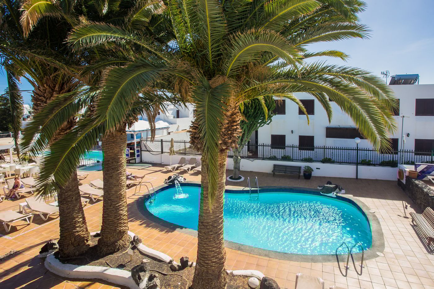 Los-Tulipanes-General-view-4