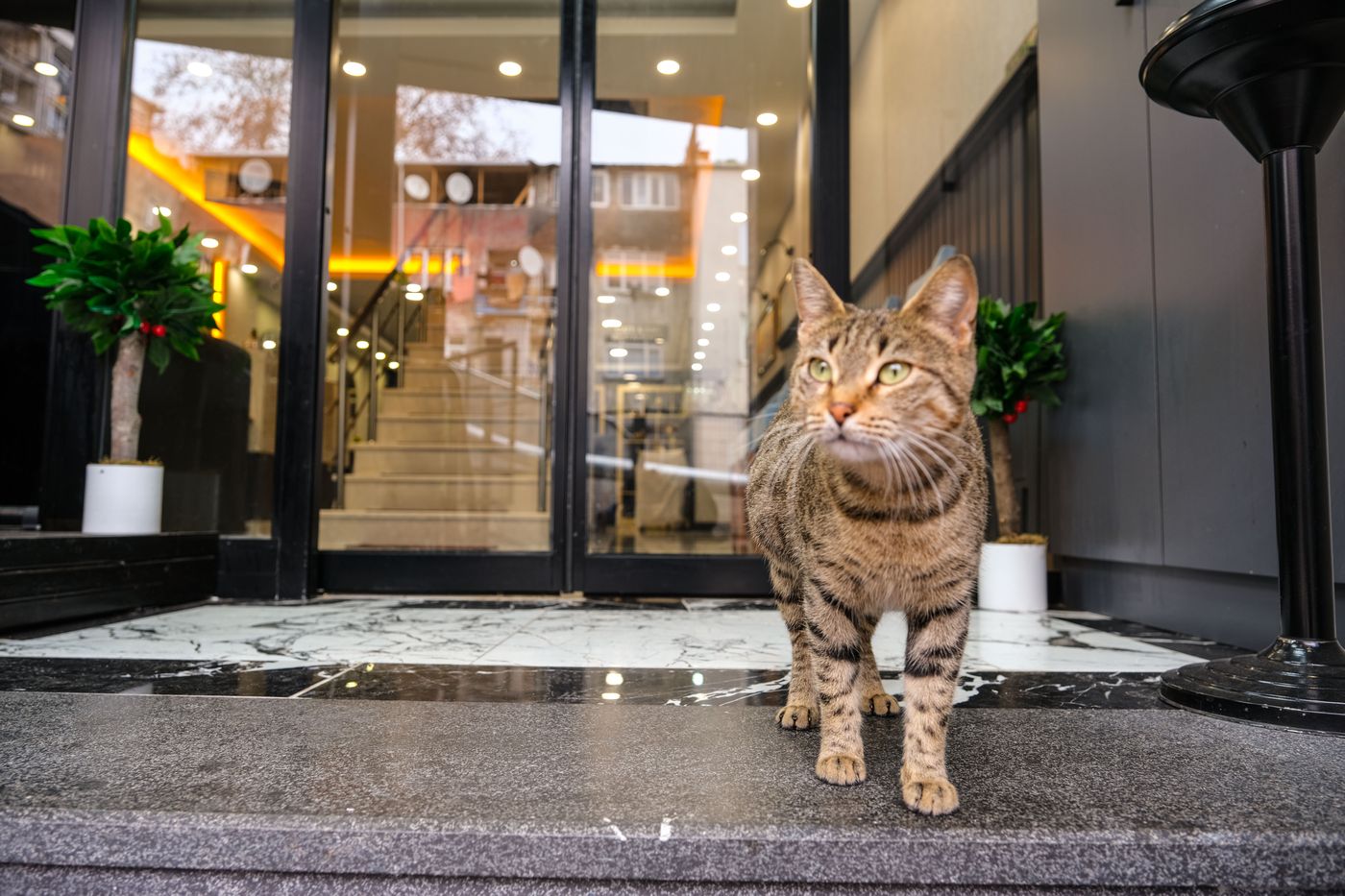 Calenberg Hotel-Turkey-Istanbul-General view-8