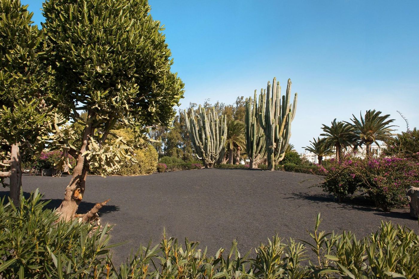 Relaxia-Olivina-General-view-65