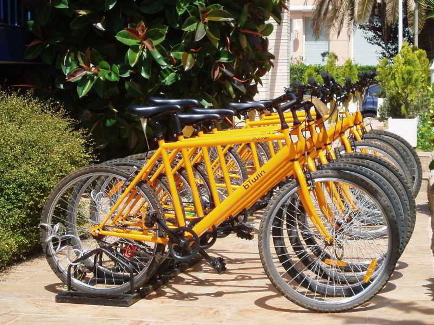 Ibersol-Antemare---Adult-s-Only-Sports-and-Entertainment-22