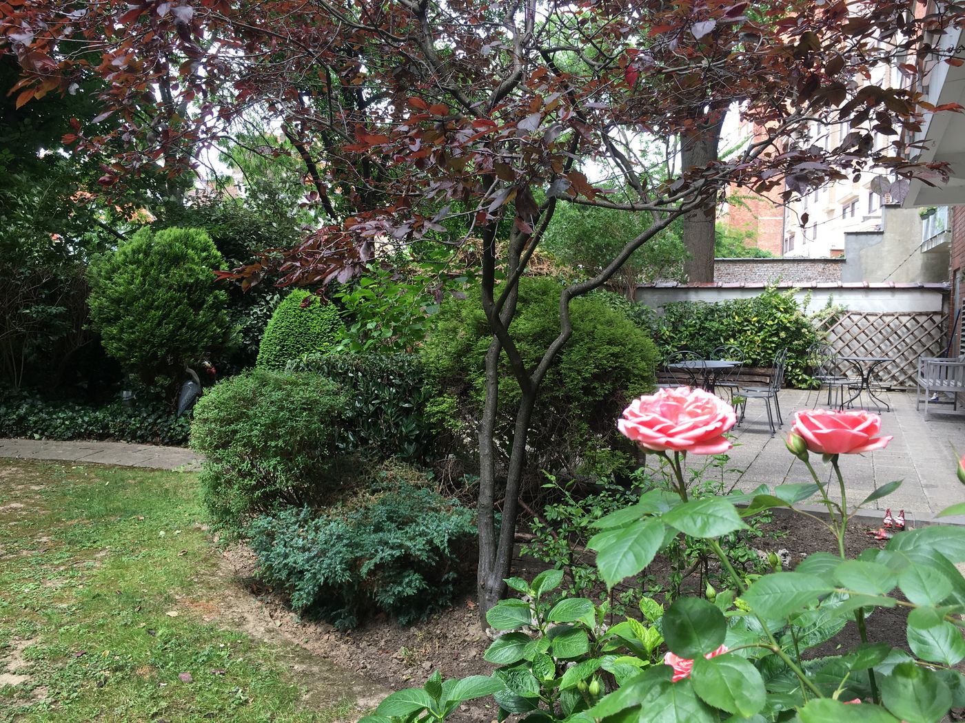 First Euroflat Hotel - Belgium - Bruxelles - Terrace - 2