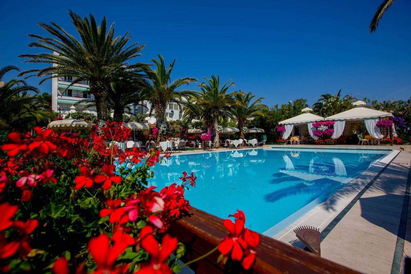 Mion-General-view-22