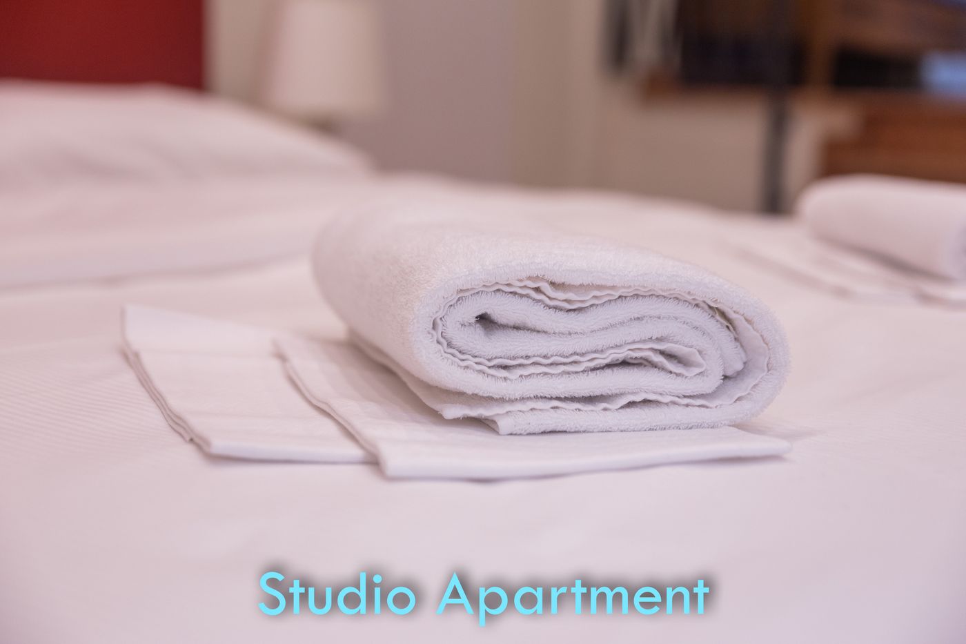 Santo Stefano Apartments- BolognaRooms - Italy - Bologna - Room - 1