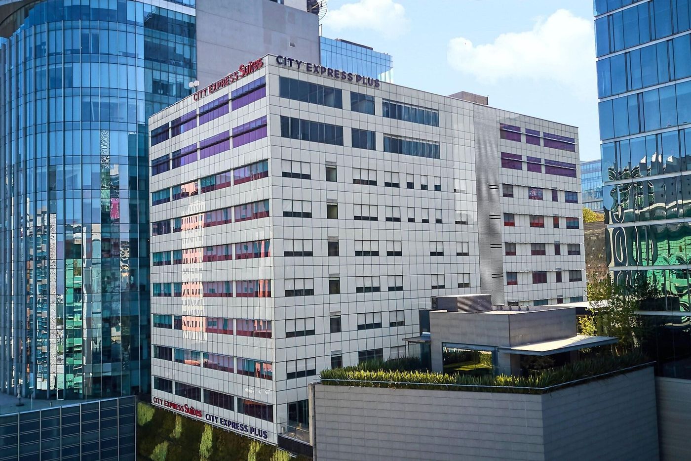 City Plus Santa Fe-Mexico-CIUDAD DE MEXICO-General view-7