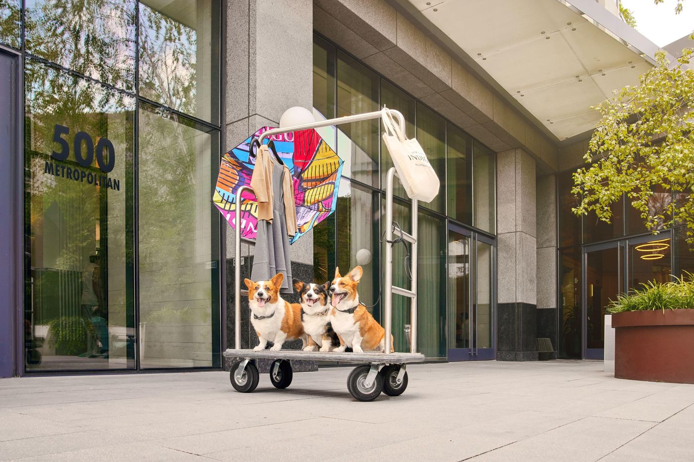 Indigo-Williamsburg---Brooklyn-General-view-11